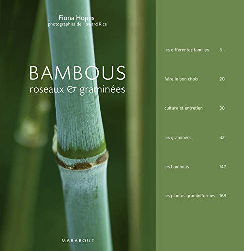 9782501054737: Bambous: Roseaux et gramines