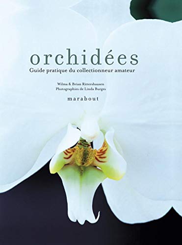 Stock image for Orchid es for sale by Le Monde de Kamlia