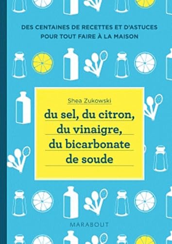 9782501064880: Du sel, du citron, du vinaigre, du bicarbonate de soude: 250 recettes naturelles pour la maison (Vie Quotidienne)