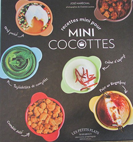 Beispielbild fr recettes pour mini cocottes zum Verkauf von Wonder Book