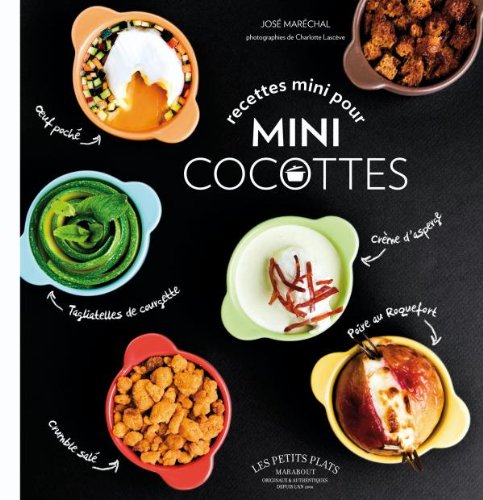 9782501067935: recettes pour mini cocottes (Cuisine)
