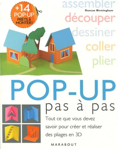 9782501077767: Pop-up pas  pas: Tout ce que vous devez savoir pour crer et raliser des pliages en 3D