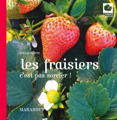 Stock image for Les fraisiers c'est pas sorcier ! for sale by Librairie Th  la page