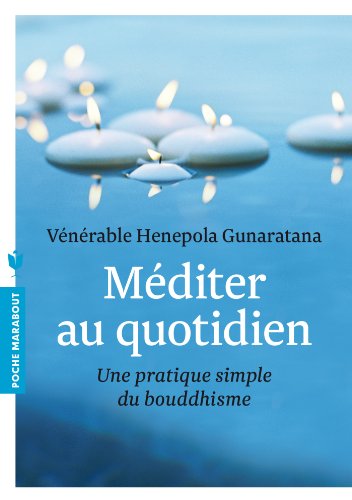 Imagen de archivo de Mditer au quotidien: Une pratique simple du bouddhisme a la venta por Ammareal