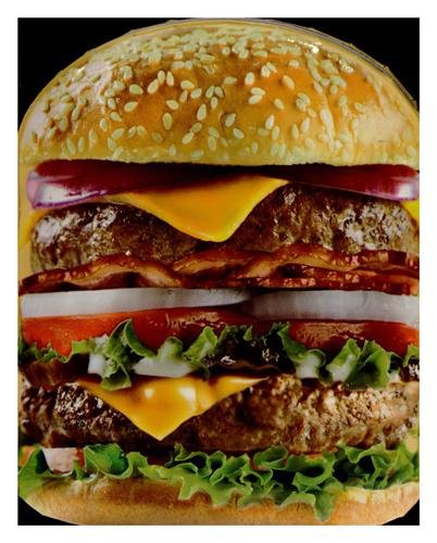 Imagen de archivo de Livre forme Le meilleur des burgers maison a la venta por Ammareal