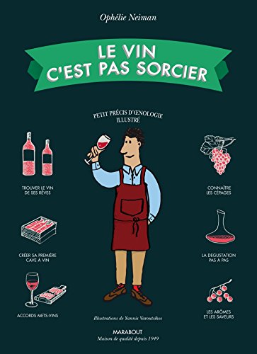 Stock image for Le vin c'est pas sorcier for sale by medimops