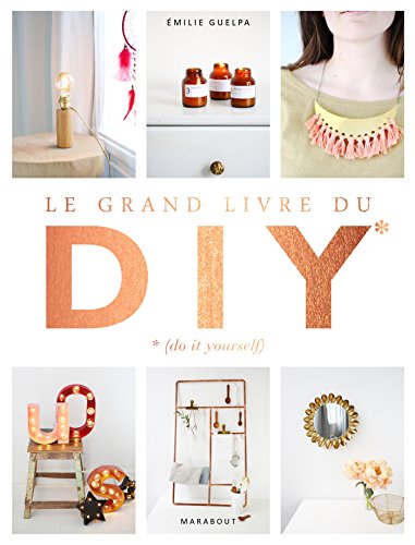 Stock image for Le grand livre des DIY* *(Do it yourself): La bible de toutes les techniques for sale by Ammareal