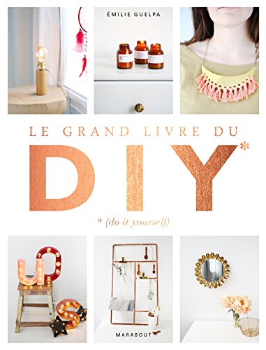 Stock image for Le grand livre des DIY* *(Do it yourself): La bible de toutes les techniques for sale by GF Books, Inc.