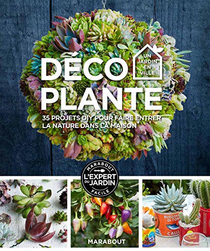 Stock image for Dco Plante : 35 Projets Diy Pour Faire Entrer La Nature Dans La Maison for sale by RECYCLIVRE