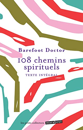 Stock image for 108 chemins spirituels for sale by medimops