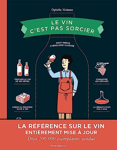 Stock image for Le vin c'est pas sorcier - Edition spciale 10 ans for sale by Gallix
