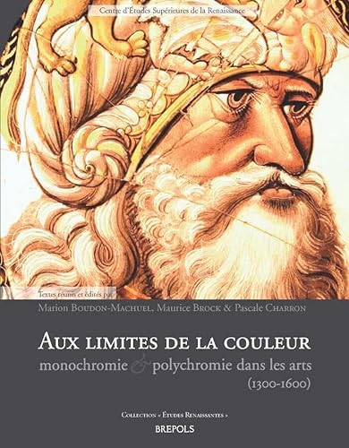 Stock image for Aux limites de la couleur: monochromie et polychromie dans les arts (1300-1650) for sale by Luigi De Bei