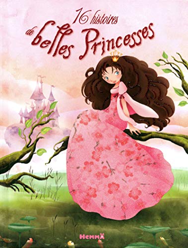 Beispielbild fr 16 histoires de belles Princesses zum Verkauf von medimops