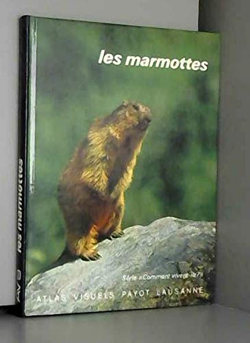 Stock image for Les marmottes for sale by LIVREAUTRESORSAS