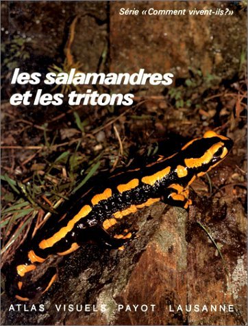 Stock image for Salamandres et les tritons for sale by Librairie La Canopee. Inc.