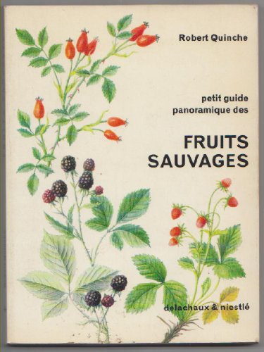 Beispielbild fr Petit guide panoramique des fruits sauvages zum Verkauf von medimops