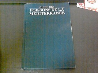 Beispielbild fr Guide des poissons de la Mditerrane zum Verkauf von Ammareal