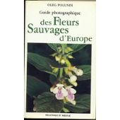 Beispielbild fr Guide photographique des fleurs sauvages d' zum Verkauf von medimops