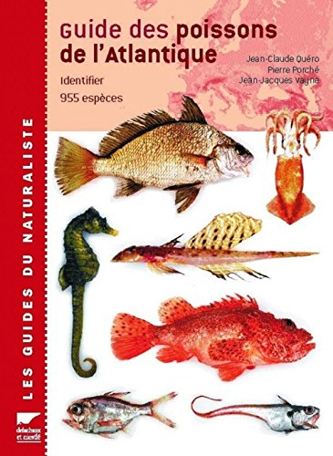 Stock image for Guide des poissons de l'Atlantique europen for sale by Ammareal