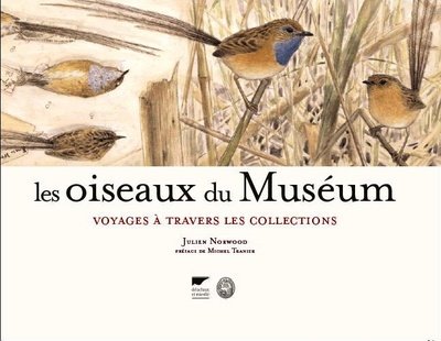 LES OISEAUX DU MUSEUM ; VOYAGES A TRAVERS LES COLLECTIONS