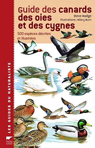 Beispielbild fr Guide des canards, des oies et des cygnes : 500 espces dcrites et illustres zum Verkauf von medimops