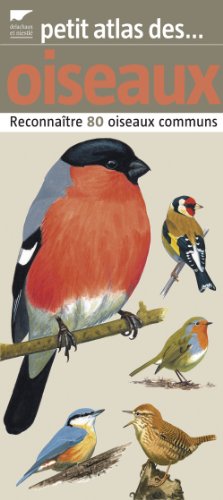 Beispielbild fr Petit Atlas Des Oiseaux : Reconnatre 80 Oiseaux Communs zum Verkauf von RECYCLIVRE