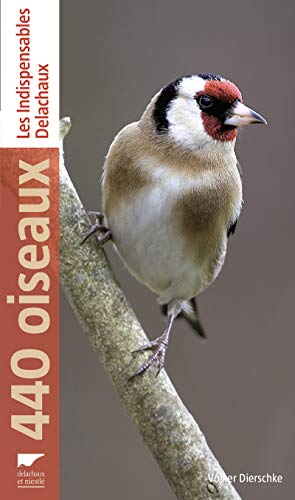 Stock image for 440 oiseaux (Les indispensables) (French Edition) for sale by HPB-Red