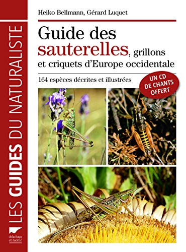 Beispielbild fr Guide Des Sauterelles, Grillons Et Criquets D'europe Occidentale : 164 Espces Dcrites Et Illustre zum Verkauf von RECYCLIVRE