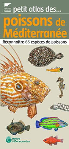 Beispielbild fr Poissons de mediterrane : Reconnatre 65 espces de poissons zum Verkauf von medimops