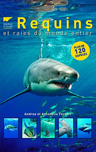Stock image for Requins et raies du monde entier (nvelle d) for sale by Le Monde de Kamlia