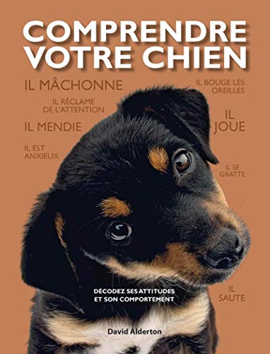 Stock image for Comprendre votre chien: D codez ses attitudes et son comportement for sale by WorldofBooks