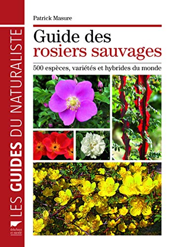 Beispielbild fr Guide des rosiers sauvages : 500 espces, varits et hybrides du monde zum Verkauf von medimops