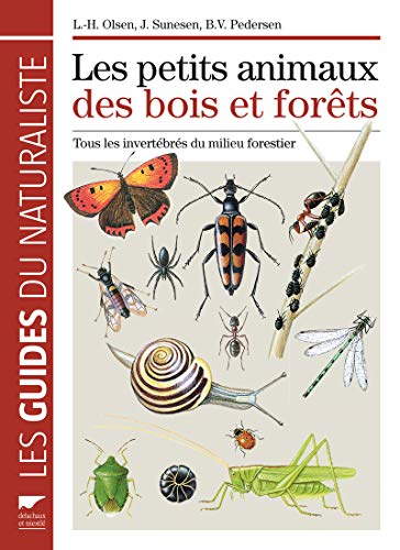 Beispielbild fr Les petits animaux des bois et des forts : Tous les invertbrs du milieu forestier zum Verkauf von medimops