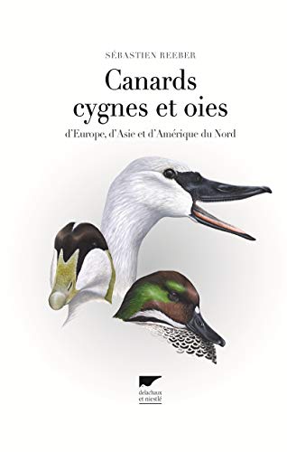 9782603019290: Canards, cygnes et oies: d'Europe, d'Asie et d'Amrique du Nord