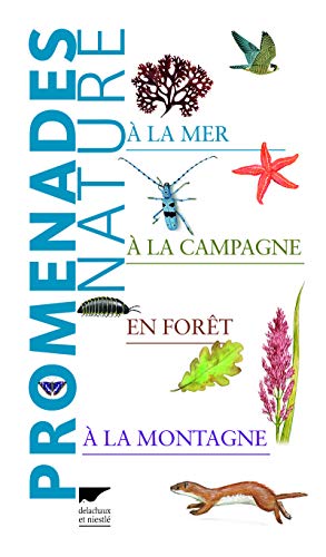 Beispielbild fr Promenades nature zum Verkauf von medimops