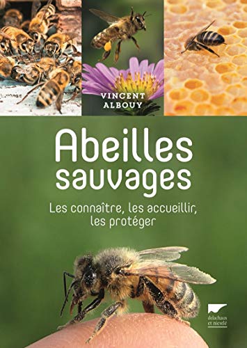 9782603019931: Abeilles sauvages: Les connatre, les accueillir, les protger