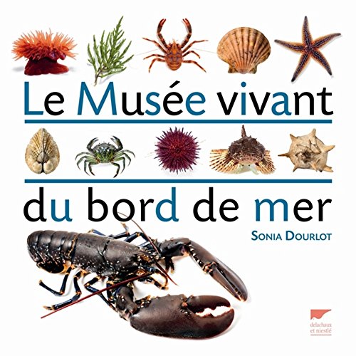 Beispielbild fr Le muse vivant du bord de mer zum Verkauf von Le Monde de Kamlia