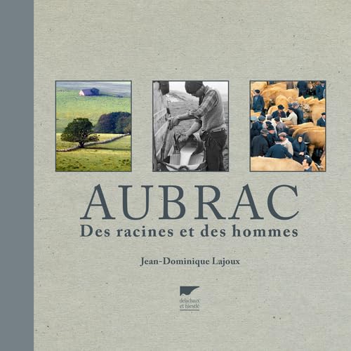 Stock image for Aubrac. Des racines et des hommes for sale by Le Monde de Kamlia