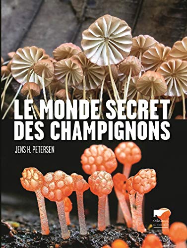 Beispielbild fr Le Monde secret des champignons zum Verkauf von Le Monde de Kamlia