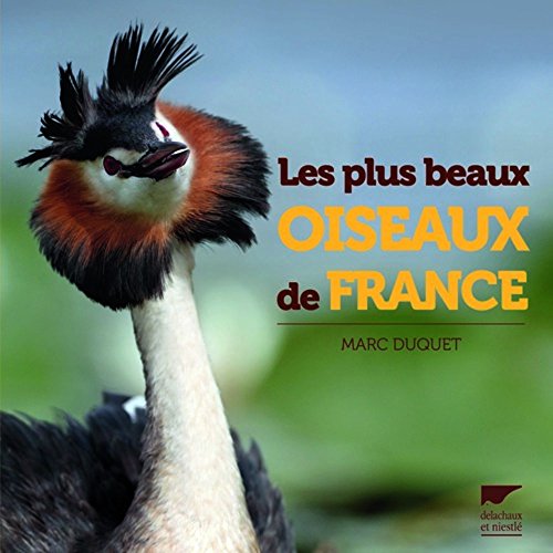 9782603021392: Les plus beaux oiseaux de France