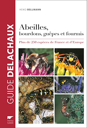 9782603024607: Abeilles, bourdons, gupes et fourmis (Rdition): Plus de 250 espces de France et d'Europe