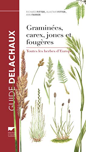 9782603025161: Gramines, carex, joncs et fougres (rdition): Toutes les herbes d'Europe