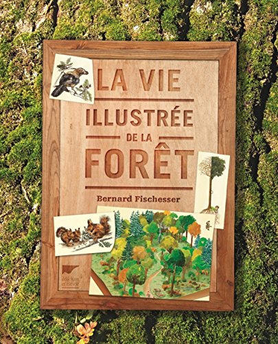 Beispielbild fr La vie illustre de la fort zum Verkauf von MaxiBooks