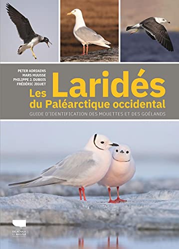 Beispielbild fr Les Larids du palarctique occidental: Guide d'identification des mouettes et des golands zum Verkauf von Le Monde de Kamlia