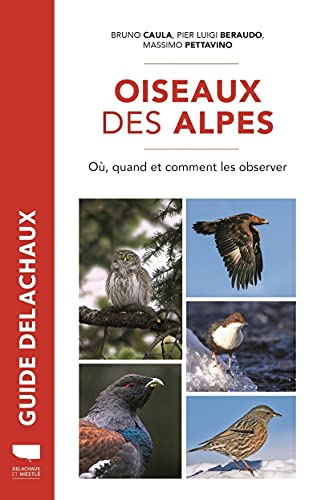 Imagen de archivo de Oiseaux des Alpes: O, quand, comment les observer a la venta por Gallix
