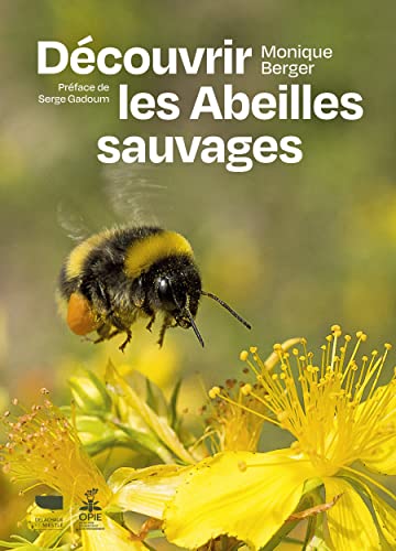 Beispielbild fr Dcouvrir les abeilles sauvages zum Verkauf von Gallix