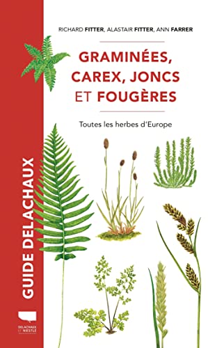 Imagen de archivo de Gramines, carex, joncs et fougres: Toutes les herbes d'Europe a la venta por Gallix