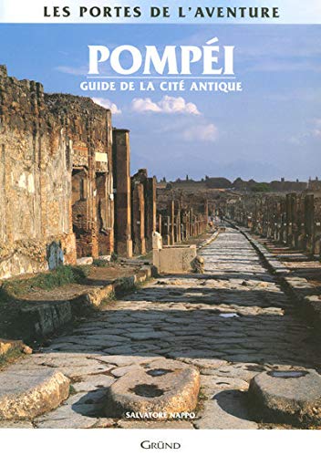 Stock image for Pompei - guide de la cite antique for sale by LiLi - La Libert des Livres