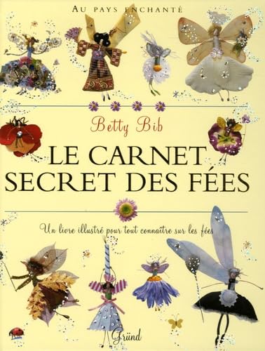 Le carnet secret des fées : un livre illustré pour tout connaître sur les fées