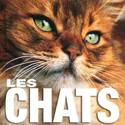 Beispielbild fr Les Chats zum Verkauf von Ammareal